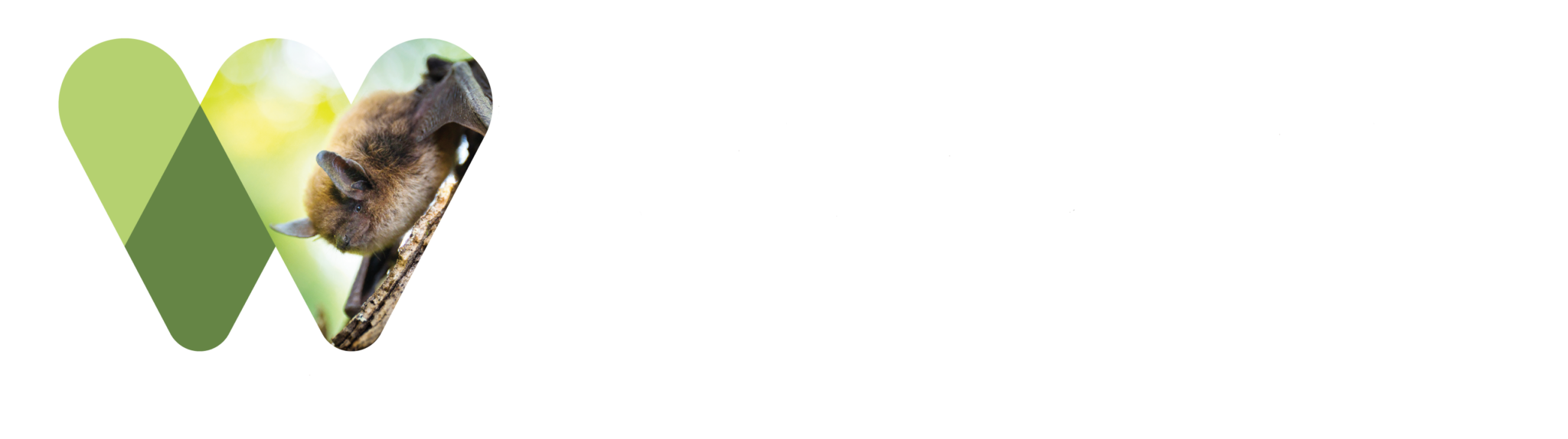 Alberta Bats - Alberta Community Bat Program