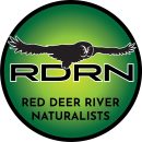 RDRN New Logo circle 2022
