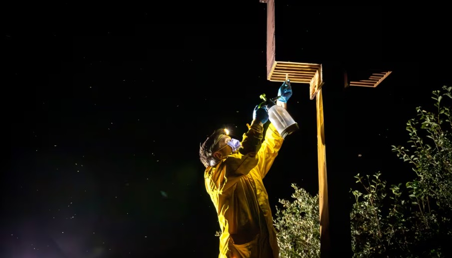 Alberta Bats - Alberta Community Bat Program